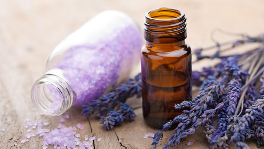 Amazing & Versatile Lavender Oil